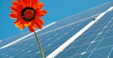 Amazon anuncia la puesta en marcha de su primera granja solar en España